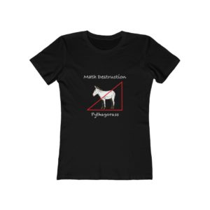 Pythagorass. Women's Boyfriend Tee